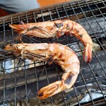 マグロ卸のフィッシャリーズテラス - 