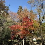 古民家カフェ 九兵衛 - 