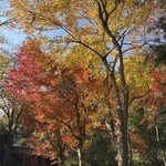 古民家カフェ 九兵衛 - 