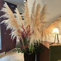 イル ギオットーネ 京都本店 - 