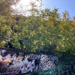 ブーランジェヤマダ - 