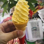 マンゴーの森 - 