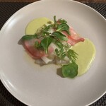 サラマンジェ ド ヨシノ - 