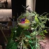Mixology Station 舶来 Bar