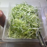 엉터리생고기 - 