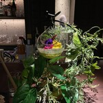 Mixology Station 舶来 Bar - 