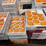 産直市場 よってって 道の駅くどやま店 - 