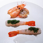 レストラン オオツ - 2025.11 会瀬漁港大内商店活け本種ボタン海老ヴィネグレット仕立て