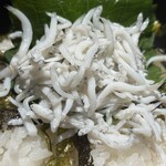 魚と肴と酒処 八仙 - 