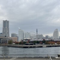 International cuisine subzero - 