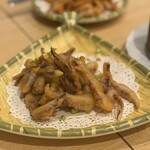 胖鴨 まるまるかも - 