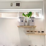 ブリーザー コーヒー - 