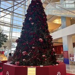 川梅 懐石・鮨 - 