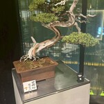 赤身肉じゃんか中目店 - 