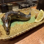 炉端×寿司 裏福島 Hana/Robata×Sushi Hana Osaka - 