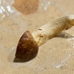 富小路 やま岸 - もう要らんくらい食べた