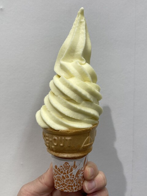 高橋フルーツランド - 羽前中山（その他）