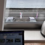 白木海岸のレストラン - 