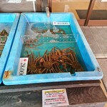 レイクサイド琴引 - カニ水槽