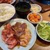 炭火ホルモン焼肉 ひゃくてん 溝の口