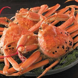 【旬到来】松葉ガニを堪能！