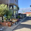 喫茶 コトナミ - 朝日町にいるです。