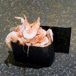 すし あお - 駿河湾 さくらえび