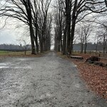 ナミキ - 並木道　　※タップすれば全体が見れます