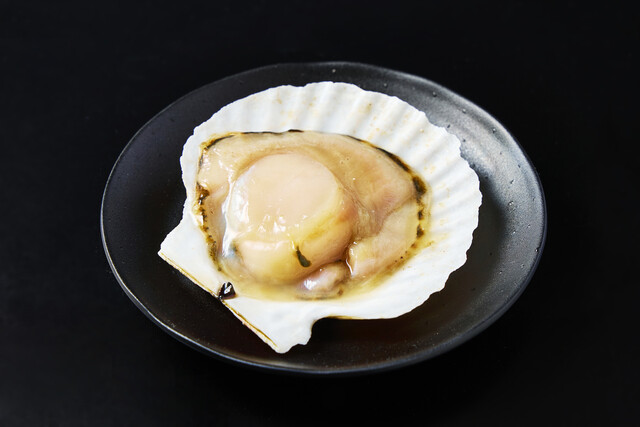 Scallop(帆立)