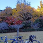 松ぼっくるり - 