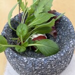 レストランぶどうの森 レ・トネル - 