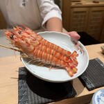 神田錦町 鮨たか晴 - 