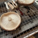 高槻しいたけセンター - 