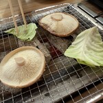 高槻しいたけセンター - 