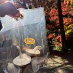 高槻しいたけセンター - 