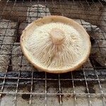 高槻しいたけセンター - 