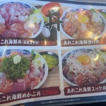 ヤマトサカナ - 