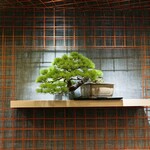 クリスタルジェイド六本木 - 