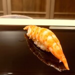 鮨 ゆうき - 車海老