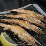 完全個室居酒屋 九州蔵 - 