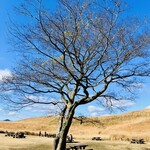 曽爾高原ファームガーデン - 