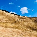 曽爾高原ファームガーデン - 