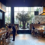 ジャヌ メルカート - 