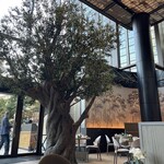 ジャヌ メルカート - シンボルツリーが素敵