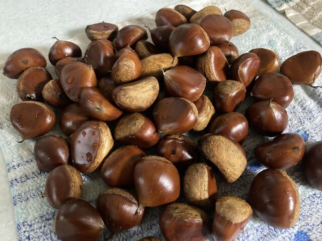 山里Magari &ndash; 関根（イタリアン）| 山形・米沢の本格イタリアンレストラン