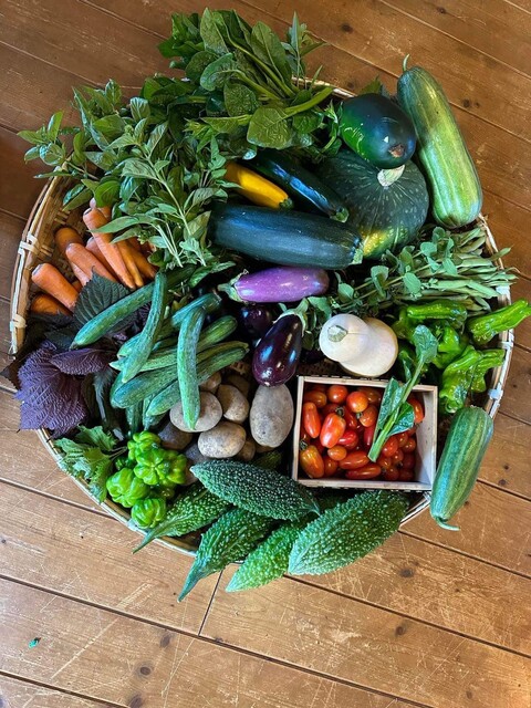 山里Magari - 関根（イタリアン）の写真