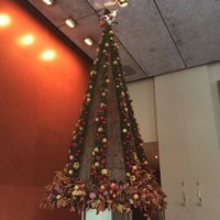 オーク ドア - オークドア店内のツリー＼(^o^)／