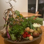 アグリスケープ - 