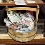 なきざかな 新宿店 - 