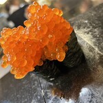 寿し処 のり好 - 